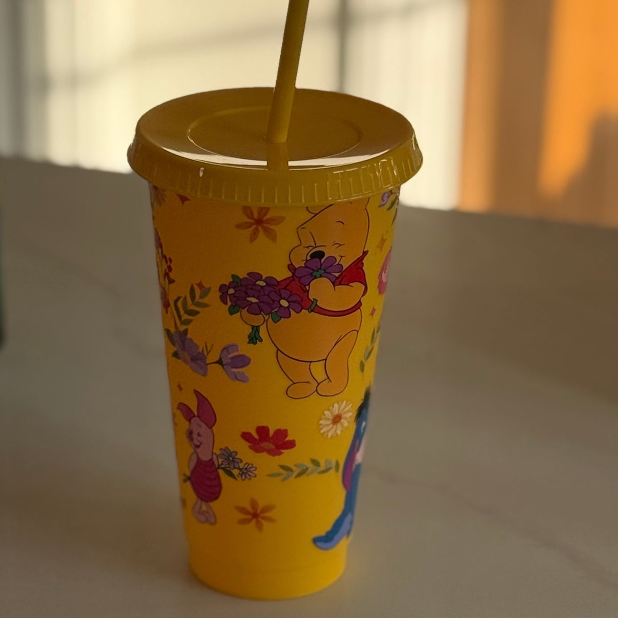 Inspired by Winnie 24oz