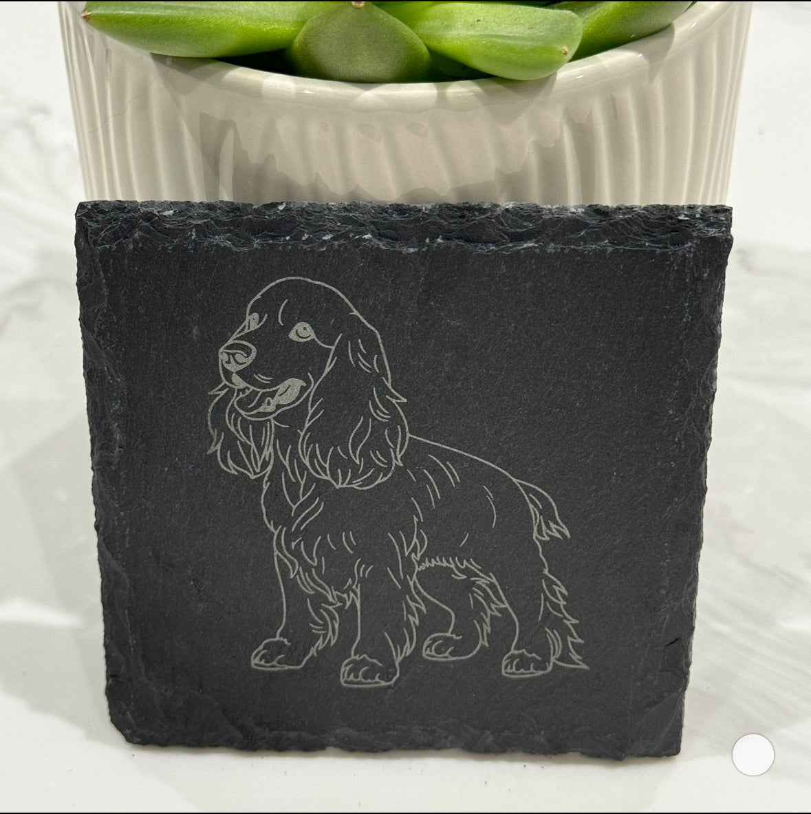 Spaniel slate coaster