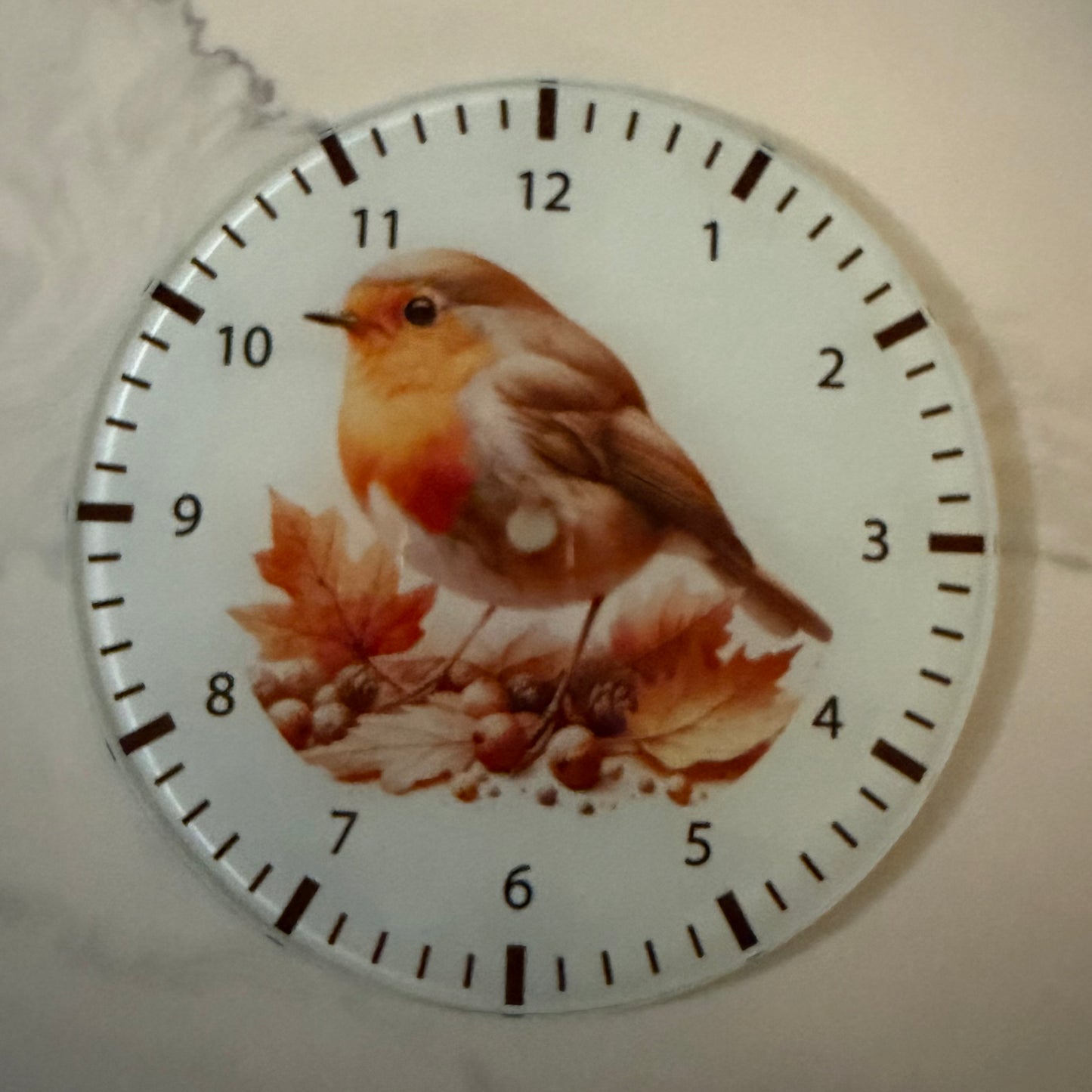 Robin Clock 20cm