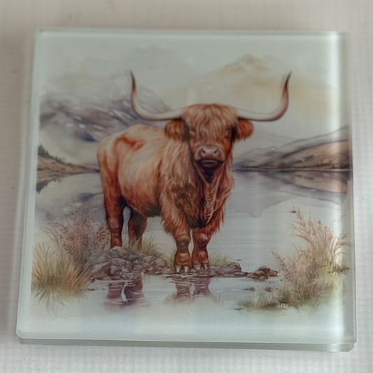 Highland Cow Glass Coaster